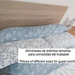 Con Balcon Centro Zona Artistica Privatunterkunft *